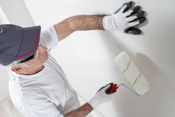 Best Mold Removal for HVAC Installations  in Lake Stevens, WA