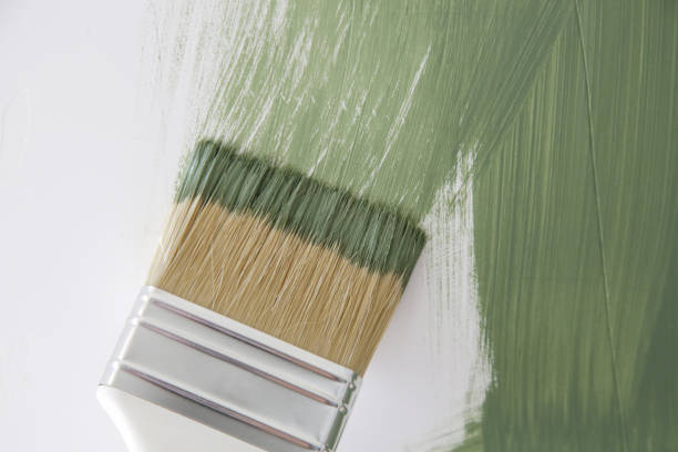 Best Mold Odor Removal Services  in Lake Stevens, WA