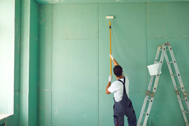 Best Black Mold Removal  in Lake Stevens, WA