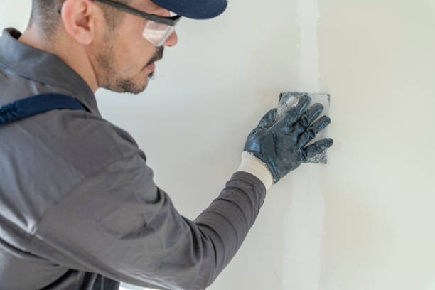 Best Post-Remediation Verification Testing  in Lake Stevens, WA