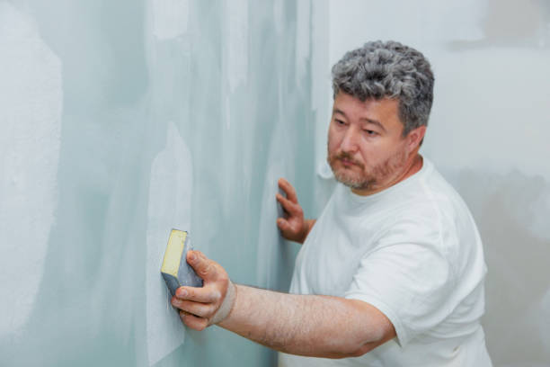 Best Attic Mold Removal  in Lake Stevens, WA