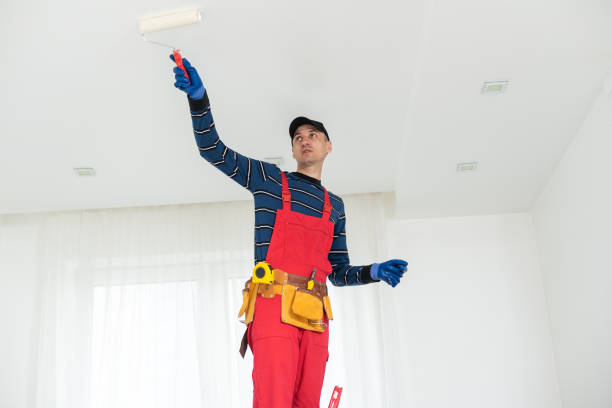  Lake Stevens, WA Mold Removal Pros