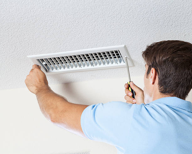 Best Basement Mold Removal  in Lake Stevens, WA