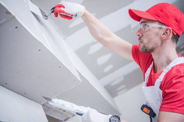 Lake Stevens, WA Mold Removal Company